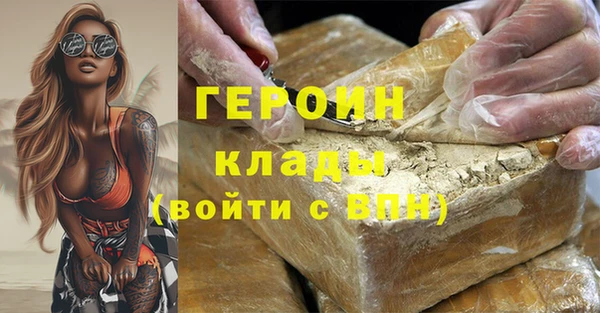 прущие грибы Тихвин