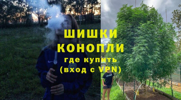 ГАЛЛЮЦИНОГЕННЫЕ ГРИБЫ Наволоки